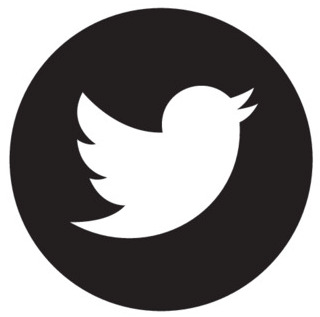 twitter icon zwart